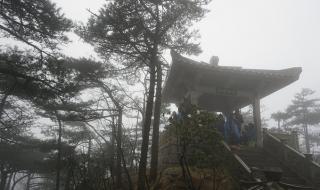 天柱山到合肥的火车