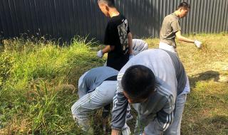 封闭式管理的学校学费多少
