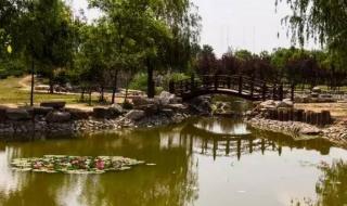 朝阳公园有什么好玩的